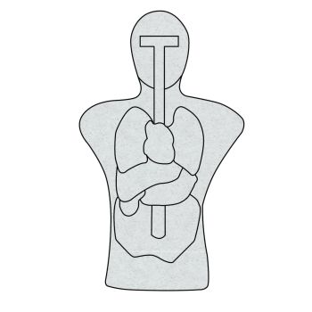 Infinite Defense Self-Healing Infinity Target - Anatomical Torso