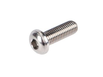 V Seven Weapon Systems Titanium Grip Screw