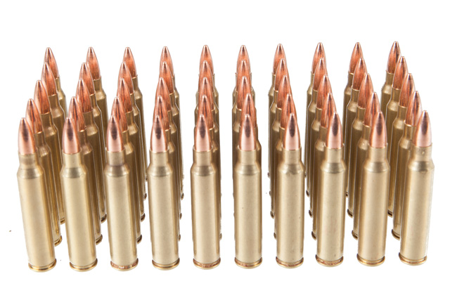 Rainier Munitions Remanufactured .223 Rem 55gr FMJ Ammunition