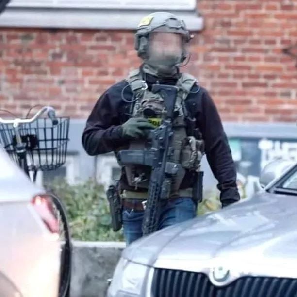 SIG MCX in use by Denmark's Special Intervention Unit.